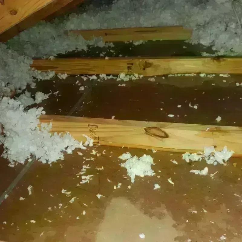 Attic Water Damage in Lakeside, CA