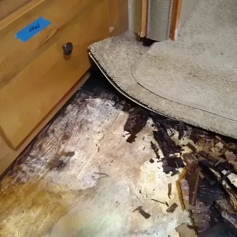 Wood Floor Water Damage in Lakeside, CA